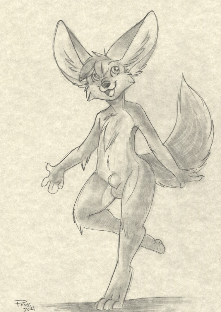 2014 animal_genitalia anthro balls canid canine e621 fennec_fox fox fully_sheathed genitals male mammal nude pmoss sheath sketch solo true_fox