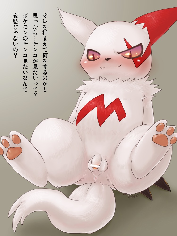 3:4 anus balls blush e621 feral flaccid foreskin fur generation_3_pokemon genitals humanoid_genitalia humanoid_penis japanese_text leaning leaning_backward male markings nintendo penis pokemon pokemon_(species) red_markings small_penis solo spread_legs spreading text tohko_saito translated voyeur white_body white_fur zangoose