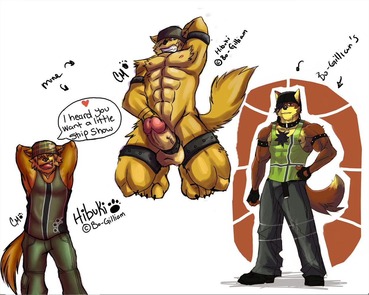 anthro balls beaugilliam biped canid canine canis claws domestic_dog e621 ear_piercing erection fangs genitals green_eyes grin hibuki_crossbone komboochie looking_at_viewer male mammal muscular muscular_anthro muscular_male nude penis piercing presenting smile solo standing tail teeth