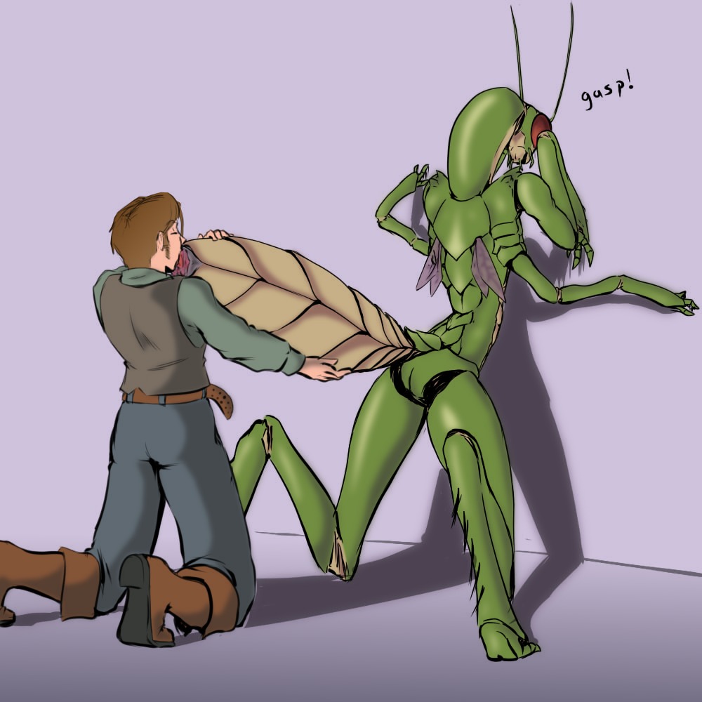 1:1 4_arms antennae_(anatomy) anthro arthropod arthropod_abdomen arthropod_abdomen_genitalia arthropod_abdomen_vulva compound_eyes doomington dungeons_and_dragons duo e621 exoskeleton female genitals green_body hasbro human human_on_anthro insect insect_wings interspecies long_neck male male/female mammal mandibles mantis mantis_arms multi_arm multi_limb oral queblock third-party_edit thri-kreen tsundere vulva wings wizards_of_the_coast