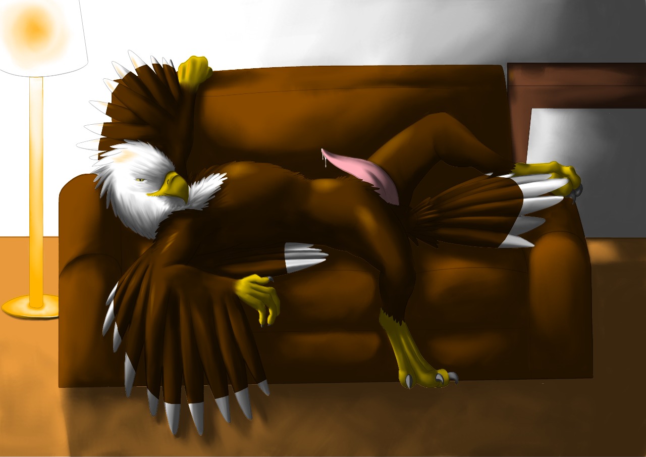 beak eagle male penis rule34 sofa tapering_penis