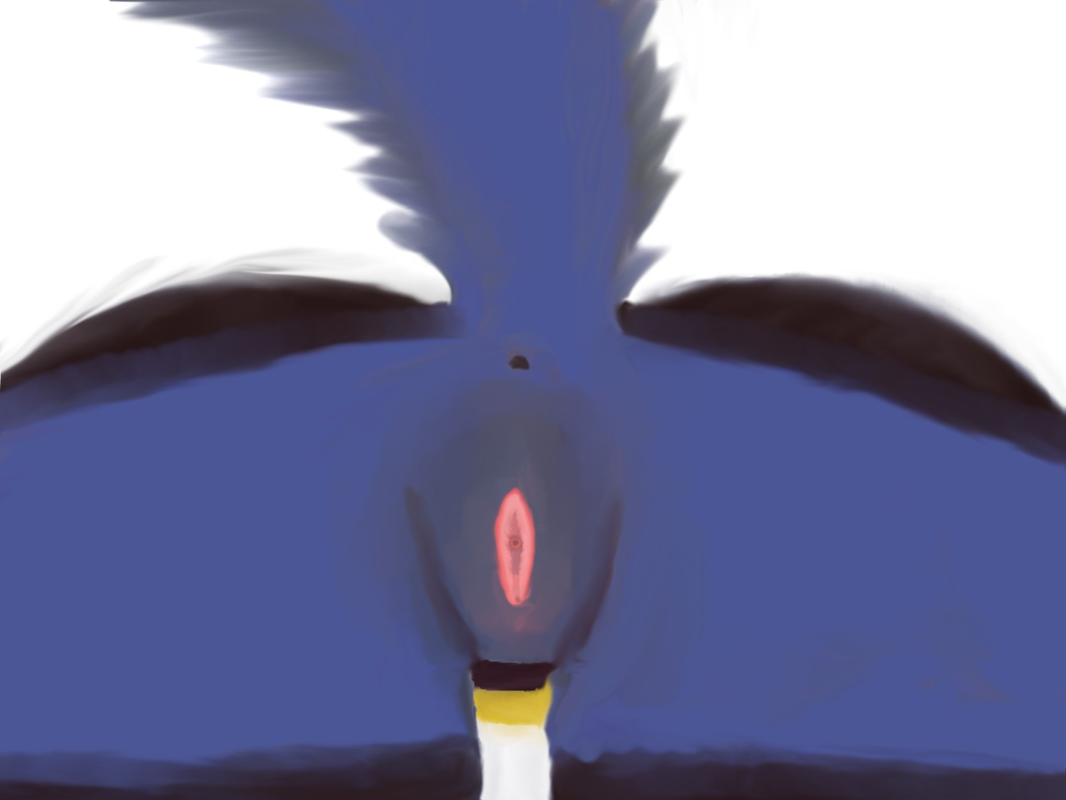 4:3 anthro anus bent_over black_body black_fur blue_body blue_fur butt canid canine casingskylie e621 female fur generation_4_pokemon genitals hi_res lucario mammal nintendo pokemon pokemon_(species) raised_tail solo tail thigh_gap vulva