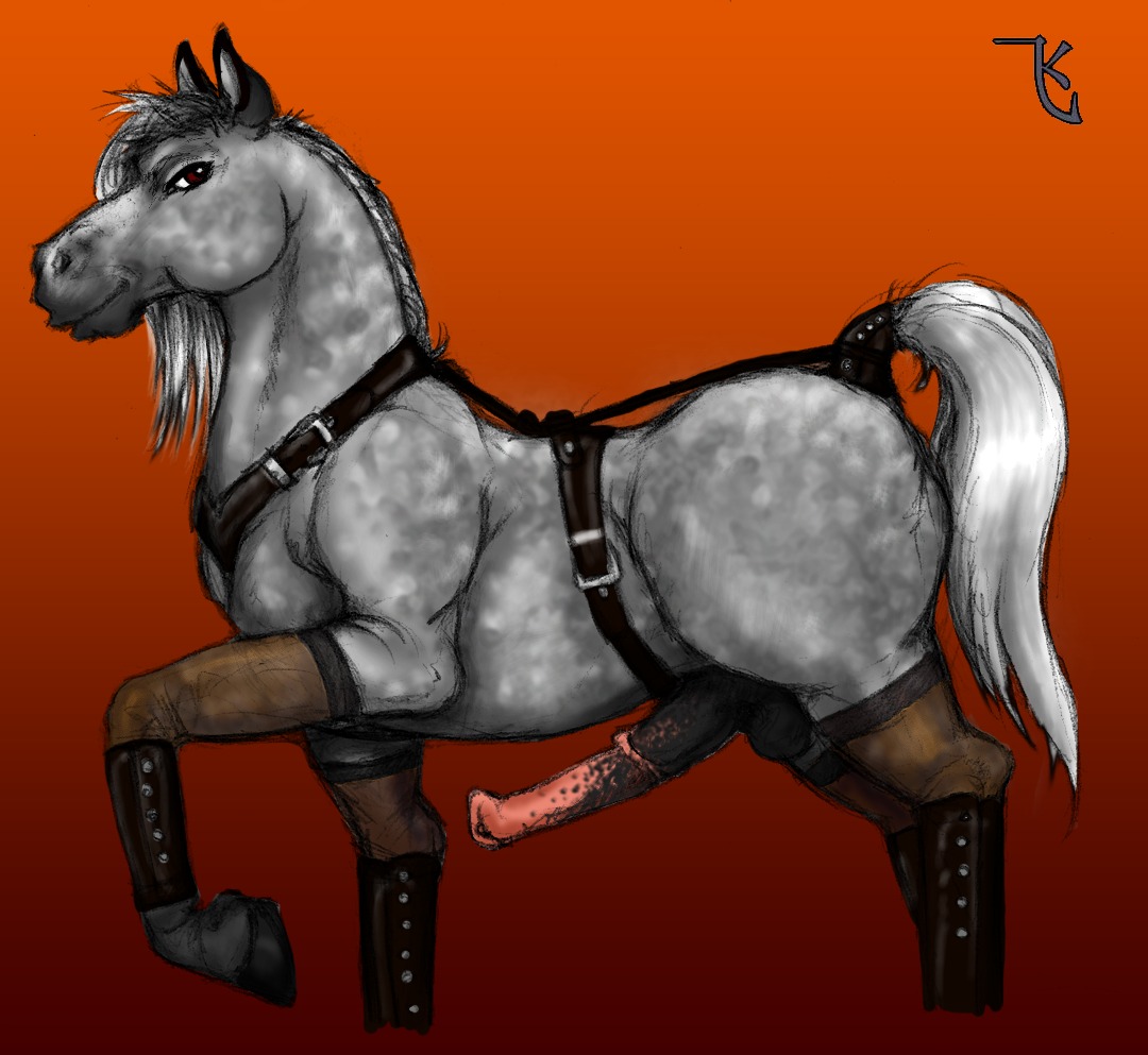 animal_genitalia animal_penis e621 equid equine equine_genitalia equine_penis erection feral genitals harness horse leather male mammal penis quadruped redrevolution solo tail