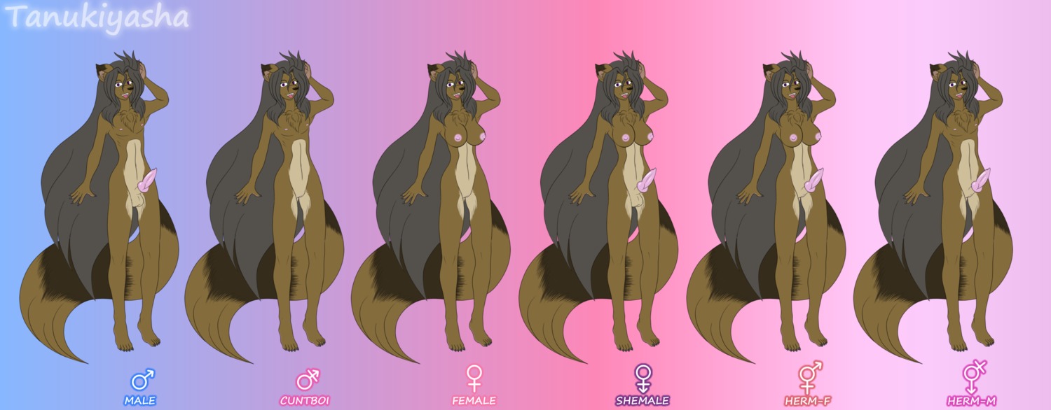 abstract_background andromorph animal_genitalia animal_penis anthro balls barefoot black_hair breasts canid canine canine_genitalia canine_penis crossgender digital_media_(artwork) e621 erection feet female female_symbol fur gender_symbol genitals gradient_background group gynomorph hair herm hi_res intersex intersex_symbol knot long_hair magnesium_symbol male male_symbol maleherm mammal model_sheet nipples nude nude_andromorph nude_anthro nude_female nude_gynomorph nude_herm nude_intersex nude_male nude_maleherm penis purple_eyes raccoon_dog sheath simple_background solo_focus symbol tail tanuki tanukiarts vulva