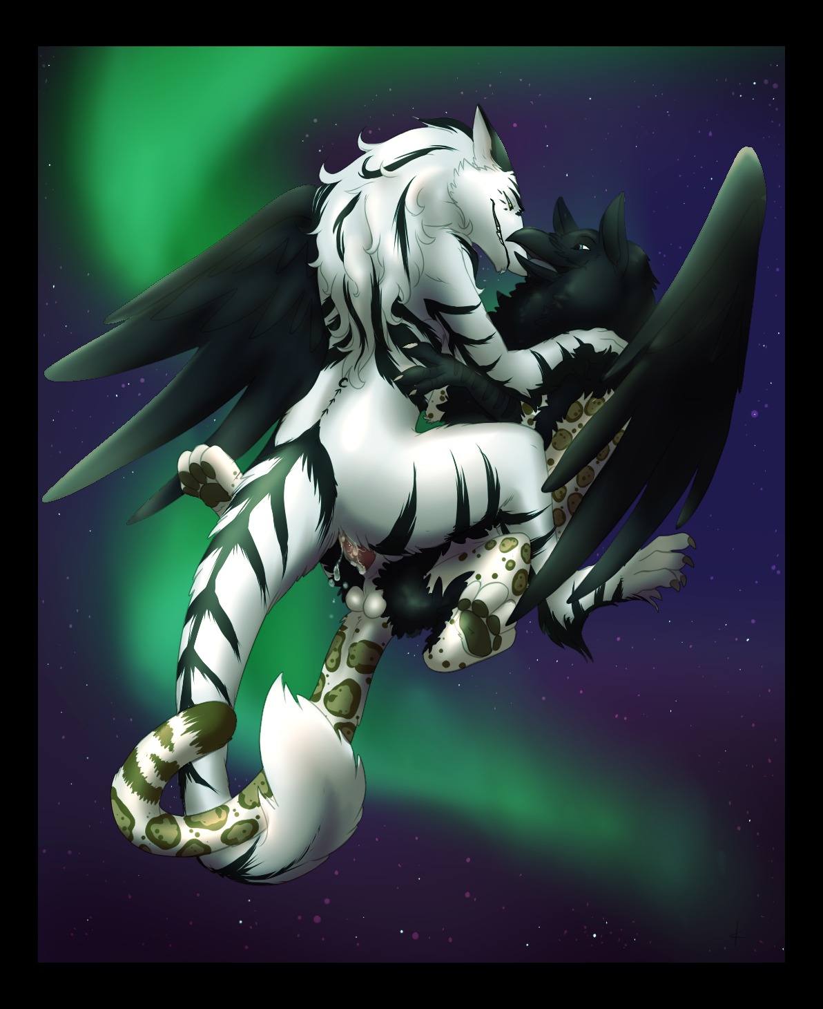 anal anthro anthro_on_feral anthro_penetrated aurora_(phenomenon) avian balls beak bestiality bird black_body black_border black_feathers black_fur bodily_fluids border byakurai_tora carrying_another claws corvid corvus_(genus) crow cum duo e621 erection faunoiphilia feathered_wings feathers feet felid feral feral_penetrating feral_penetrating_anthro flying flying_sex fur genital_fluids genitals grave_gryphon gryphon hi_res interspecies jaguar knon leucistic male male/male male_penetrated male_penetrating male_penetrating_male mammal midair mythological_avian mythological_creature mythology oscine pantherine passerine penetration penis raven sergal sex simple_background star tail talons toes white_body white_fur wings