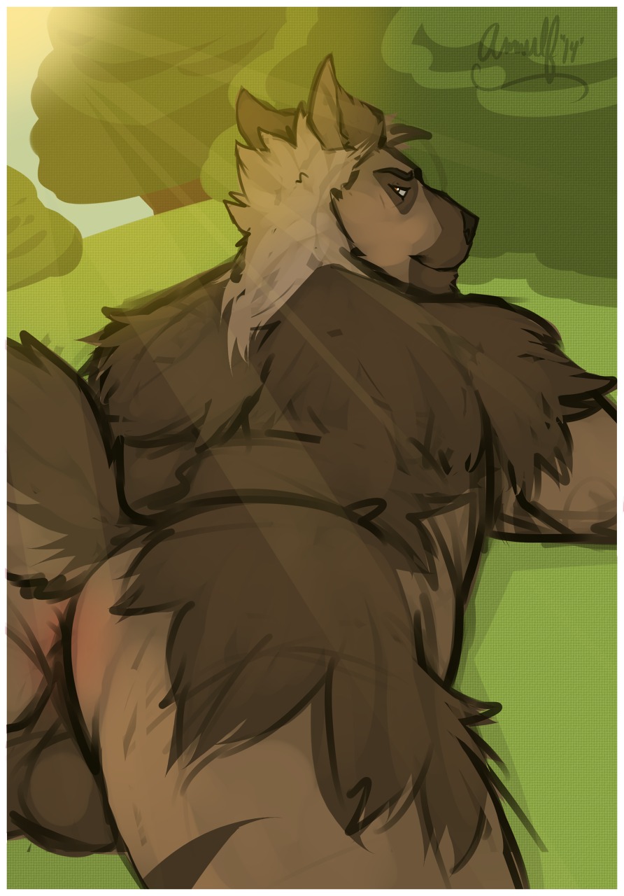 amwulf anthro anus backsack balls biped brown_body brown_fur brown_hair brown_hyena butt e621 fur genitals hair happy hi_res hyena karl_(hyenafur) light looking_back lying male mammal narrowed_eyes nude on_front outside presenting presenting_hindquarters smile solo squint sunlight