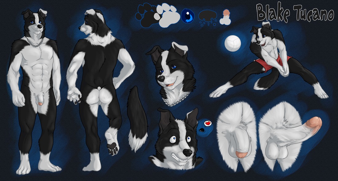 2011 abs anthro arachnid arthropod backsack ball balls biceps big_muscles big_penis biped black_background black_body black_fur black_nose blake_tucano blue_eyes border_collie bottomwear butt canid canine canis chain character_name clothed clothing collie domestic_dog e621 eclipticafusion erection flaccid foreskin fur fur_markings genitals heart_symbol herding_dog humanoid_genitalia humanoid_penis jewelry leg_markings looking_at_viewer male mammal markings model_sheet multicolored_body multicolored_fur muscular muscular_anthro muscular_male necklace nude open_mouth open_smile partially_retracted_foreskin pastoral_dog pecs penis retracted_foreskin scared sheepdog shorts simple_background smile socks_(marking) solo spider sport tail text topless tucpile two_tone_body two_tone_fur vein volleyball white_body white_fur