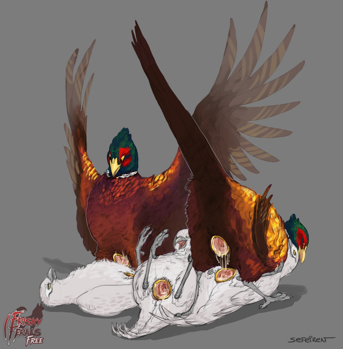2013 animal_genitalia ass_up avian avian_butt avian_feet beak bird bodily_fluids cloaca cloaca_juice cloacal cloacal_kiss common_pheasant conditional_dnp cum e621 faux_gaping faux_gaping_cloaca feathered_wings feathers female feral feral_on_feral frisky_ferals galliform gaping gaping_cloaca genital_fluids genitals gold_ring grey_background group group_sex hi_res lying male male/female nude on_back open_mouth orgy penetration phasianid pheasant raised_tail realistic_feral ring sefeiren sex simple_background spread_cloaca spread_legs spread_wings spreader_toy spreading tail tail_feathers the_twelve_days_of_christmas_(song) tongue wings