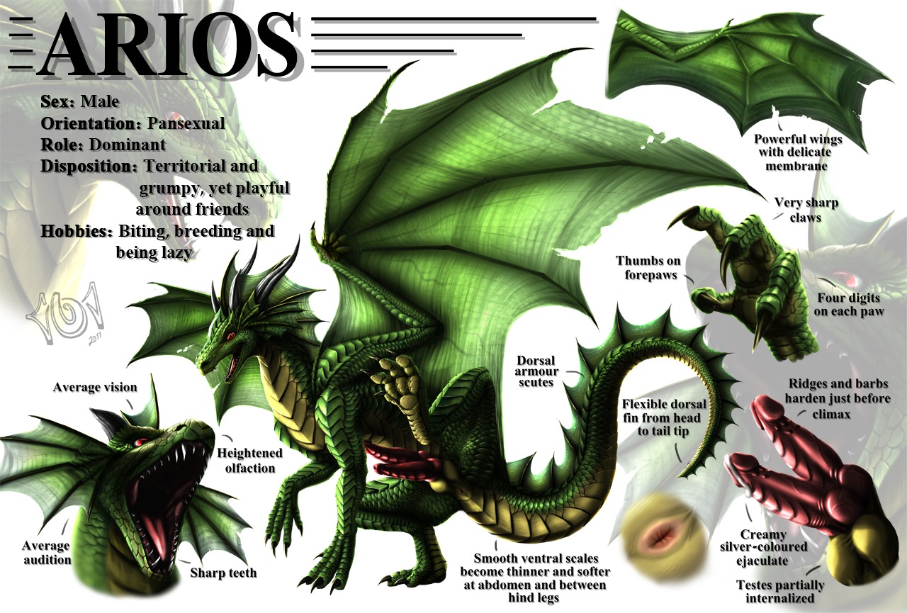 2_penises animal_genitalia animal_penis anus arios balls bat_wings claws dragon dudey_101 e621 english_text erection european_mythology feral genitals green_body green_scales horn male membrane_(anatomy) membranous_wings model_sheet multi_genitalia multi_penis mythological_creature mythological_scalie mythology non-mammal_balls nude penis red_penis scales scalie solo tail text western_dragon wings yellow_body yellow_scales