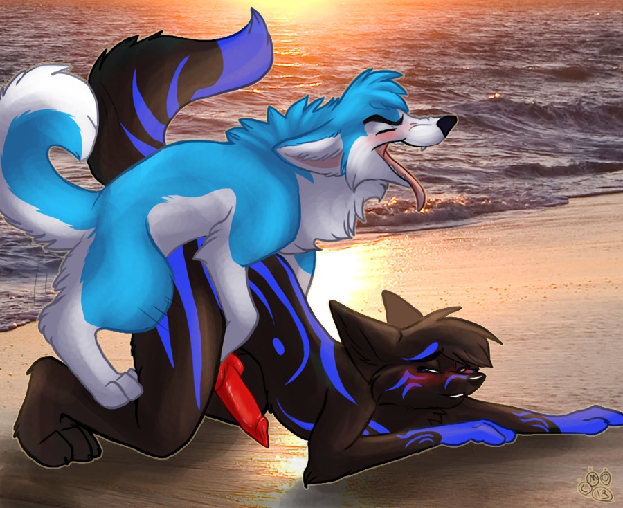 2013 all_fours anal animal_genitalia animal_penis anthro anthro_on_feral anthro_penetrated beach bestiality blondefoxy blush canid canine canine_genitalia canine_penis canis detailed_background digital_drawing_(artwork) digital_media_(artwork) doggystyle domestic_dog duo e621 erection feral feral_penetrating feral_penetrating_anthro from_behind_position genitals interspecies intraspecies intraspecies_bestiality male male/male male_on_feral male_penetrated male_penetrating male_penetrating_male mammal nude outside penetration penis raised_tail sand seaside sex sex_on_the_beach tail