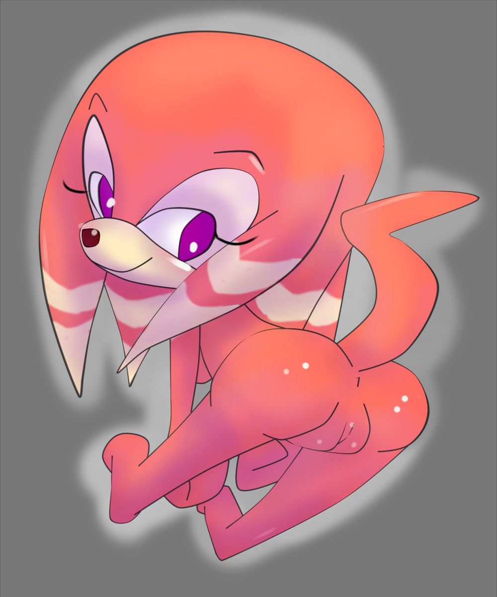 af-js anus ass bent_over color echidna female female_only fur nude orange_fur pussy rule34 sega shade_the_echidna solo sonic_(series) sonic_chronicles:_the_dark_brotherhood sonic_the_hedgehog_(series) tagme tail vulva