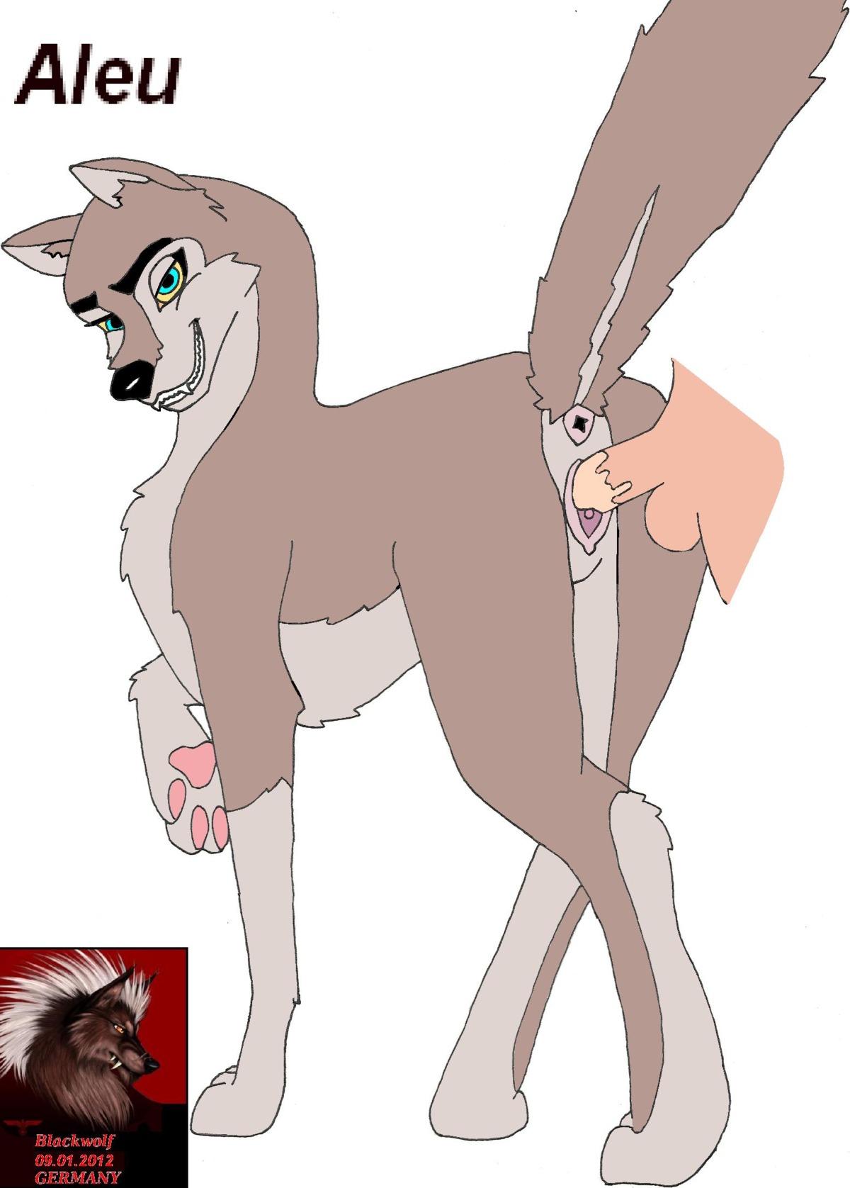 2012 aleu_(balto) balto_(series) bestiality blackwolf canid canine canis duo e621 faceless_character faceless_human faceless_male female female_focus female_on_human female_penetrated feral feral_penetrated genitals hi_res human human_on_feral human_penetrating human_penetrating_feral hybrid interspecies male male/female male_on_feral male_penetrating male_penetrating_female mammal nude penetration penile penile_penetration penis penis_in_vagina quadruped sex solo_focus tail universal_studios vaginal vaginal_penetration vulva wolf wolfdog