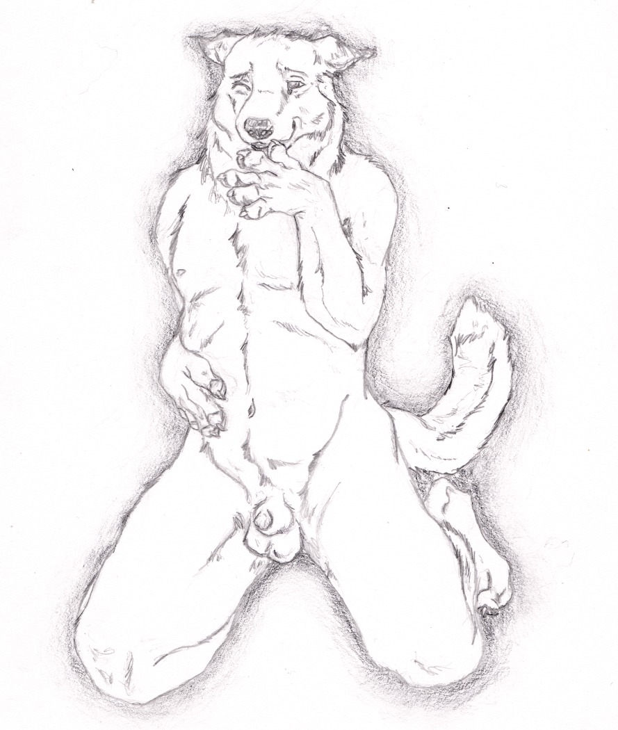 animal_genitalia anthro balls biped black_and_white black_nose canid canine claws e621 feet flaccid genitals hindpaw kneeling looking_at_viewer male mammal monochrome nipples nude one_eye_closed paws penis semiotica sheath simple_background smile solo tail