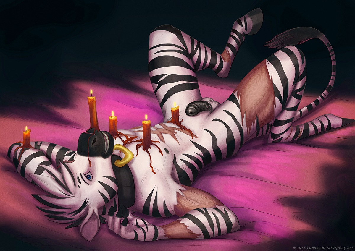 2013 anthro balls biped blue_eyes candle collar e621 equid equine fire flaccid genitals hot_wax huru lunalei lying male mammal melting_candles muscular muscular_anthro muscular_male on_back penis scar solo stripes tail zebra