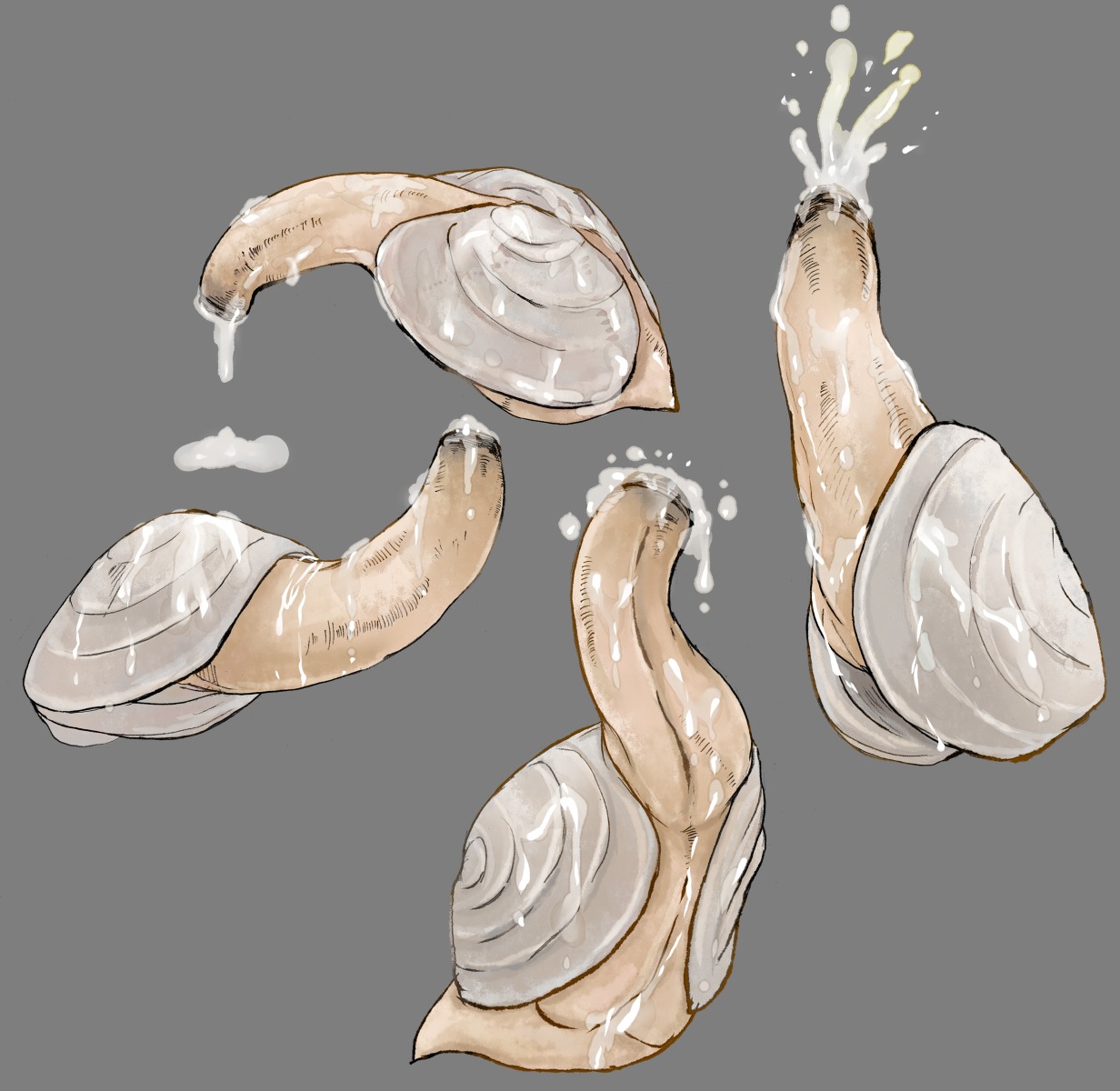1boy geoduck glans male male_focus male_only mollusk monophallia multiple_views penis penis_creature penis_head penis_neck rule34 solo tagme