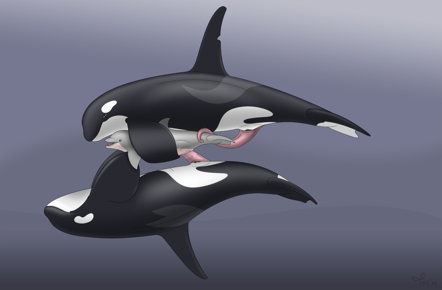 2014 abstract_background animal_genitalia animal_penis aquatic bodily_fluids cetacean cetacean_genitalia cetacean_penis cum cum_in_vagina cum_inside dolphin dominant e621 erection female feral feral_on_feral genital_fluids genitals group group_sex hi_res larger_dom larger_male male male/female male_penetrating mammal nude oceanic_dolphin open_mouth orca penetration penis prehensile_penis sex simple_background size_difference smaller_female tapering_penis tasuric threesome tongue toothed_whale trio vaginal vaginal_penetration vulva