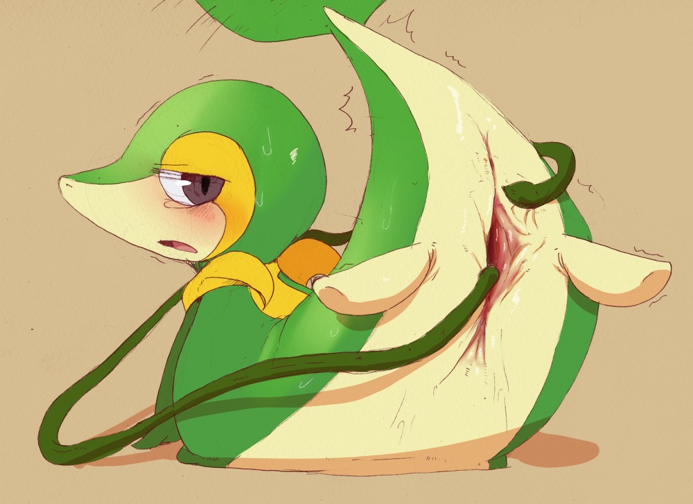 anus blush dagasi digital_media_(artwork) e621 female female_feral feral gaping gaping_vagina generation_5_pokemon genitals looking_back lying nintendo on_front open_mouth plant pokemon pokemon_(species) raised_tail simple_background snivy solo spread_legs spread_vulva spreading tail tentacle_masturbation tentacles vines vulva